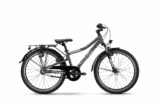 Robin 24 Zoll